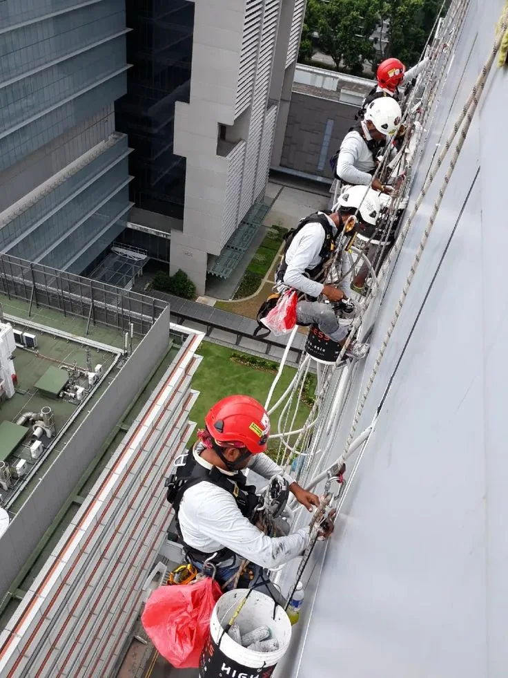 Trabajadores en altura con arnés y casco